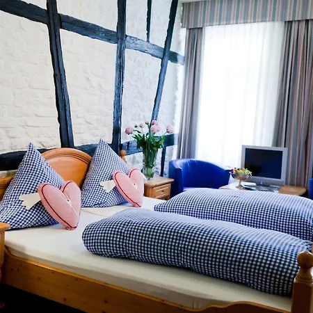 Alte Laterne Hotel 3*