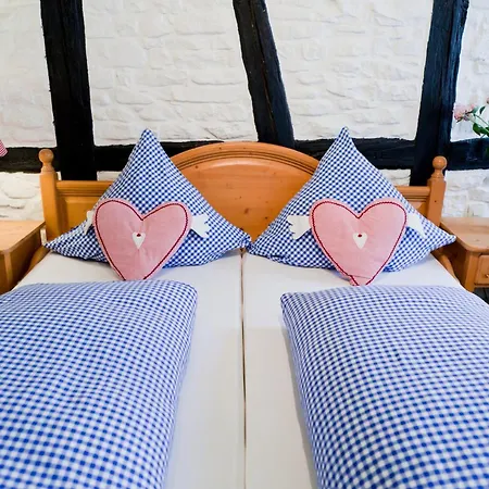 Hotel Alte Laterne 3*